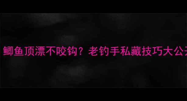 图片 3步解决！鲫鱼顶漂不咬钩？老钓手私藏技巧大公开！🎣🐟2