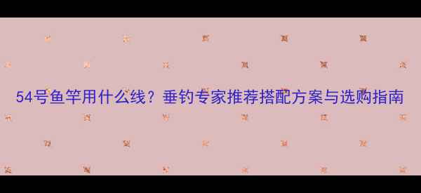 图片 54号鱼竿用什么线？垂钓专家推荐搭配方案与选购指南