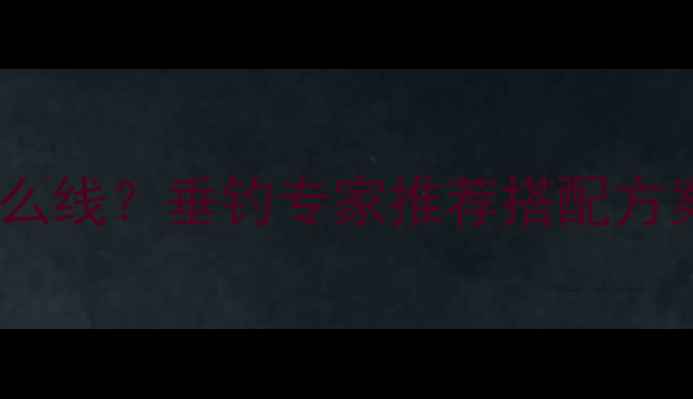 图片 54号鱼竿用什么线？垂钓专家推荐搭配方案与选购指南1