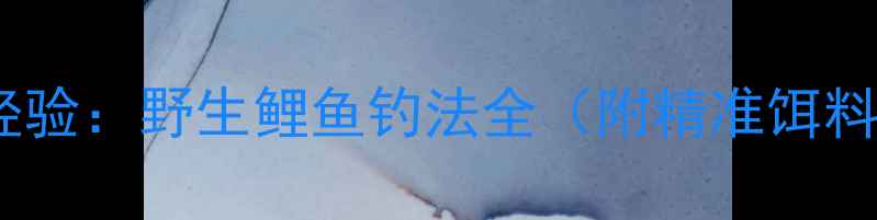 图片 5大核心技巧+实战经验：野生鲤鱼钓法全（附精准饵料配比与避坑指南）1