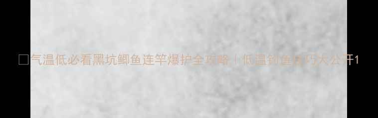 图片 ✨气温低必看黑坑鲫鱼连竿爆护全攻略｜低温钓鱼技巧大公开1