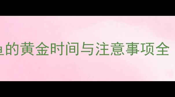 图片 下雨前一天钓鱼的黄金时间与注意事项全（附实战技巧）