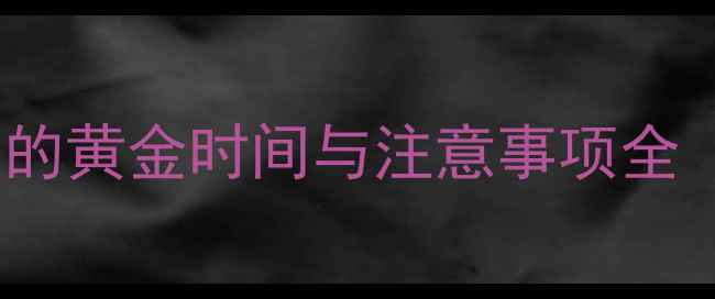 图片 下雨前一天钓鱼的黄金时间与注意事项全（附实战技巧）1