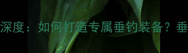 图片 专业定制Wefox鱼竿深度：如何打造专属垂钓装备？垂钓爱好者必看指南2