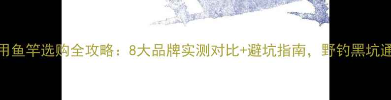 图片 两用鱼竿选购全攻略：8大品牌实测对比+避坑指南，野钓黑坑通吃