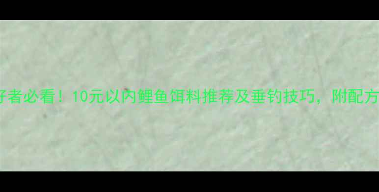 图片 中国垂钓爱好者必看！10元以内鲤鱼饵料推荐及垂钓技巧，附配方与使用攻略1
