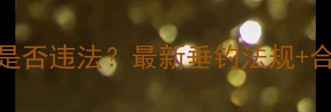 图片 仿生鱼饵钓鱼是否违法？最新垂钓法规+合法使用全攻略