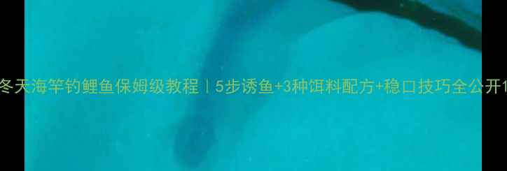 图片 冬天海竿钓鲤鱼保姆级教程｜5步诱鱼+3种饵料配方+稳口技巧全公开1