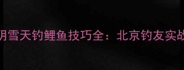 图片 冬季阴雪天钓鲤鱼技巧全：北京钓友实战分享