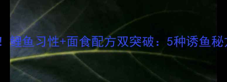 图片 北方钓友必看！鲤鱼习性+面食配方双突破：5种诱鱼秘方让野塘爆护1