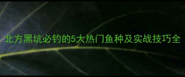 图片 北方黑坑必钓的5大热门鱼种及实战技巧全