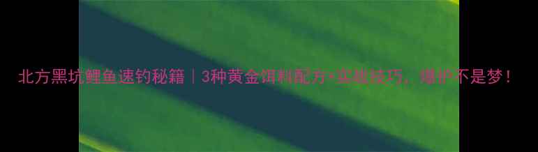 图片 北方黑坑鲤鱼速钓秘籍｜3种黄金饵料配方+实战技巧，爆护不是梦！