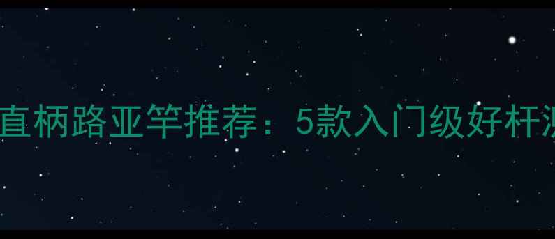图片 千元内高性价比直柄路亚竿推荐：5款入门级好杆测评与选购指南1