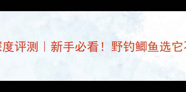 图片 双宝鲫鱼竿深度评测｜新手必看！野钓鲫鱼选它不踩坑的真相