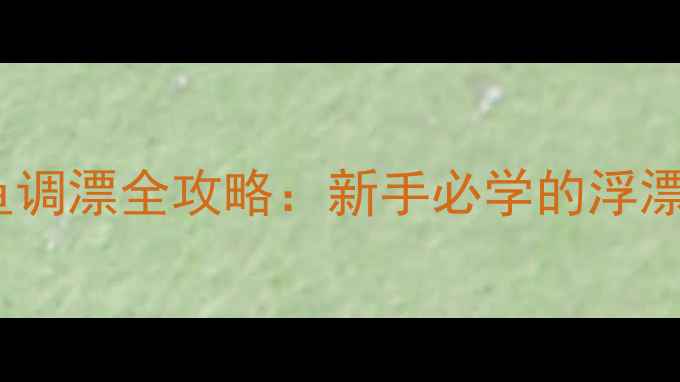 图片 台钓野钓小鲫鱼调漂全攻略：新手必学的浮漂调四钓二技巧1
