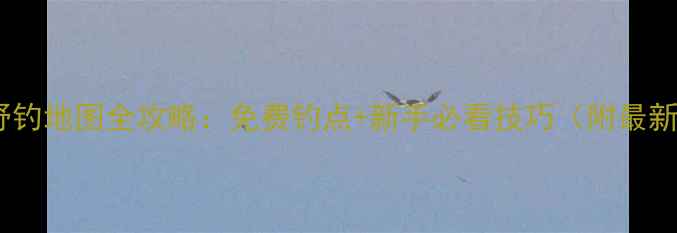 图片 合肥野钓地图全攻略：免费钓点+新手必看技巧（附最新版）1