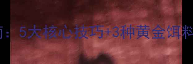 图片 回水湾钓鲤鱼实战指南：5大核心技巧+3种黄金饵料配方，助你稳爆护！1