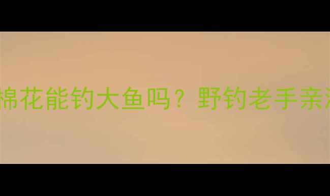 图片 垂钓大鱼秘籍：鱼饵加棉花能钓大鱼吗？野钓老手亲测有效的棉花使用技巧1