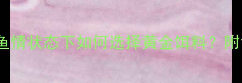 图片 垂钓实战指南不同鱼情状态下如何选择黄金饵料？附12种场景搭配秘籍1