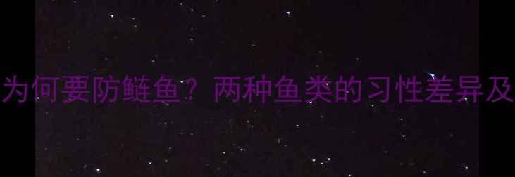 图片 垂钓鲤鱼为何要防鲢鱼？两种鱼类的习性差异及应对技巧