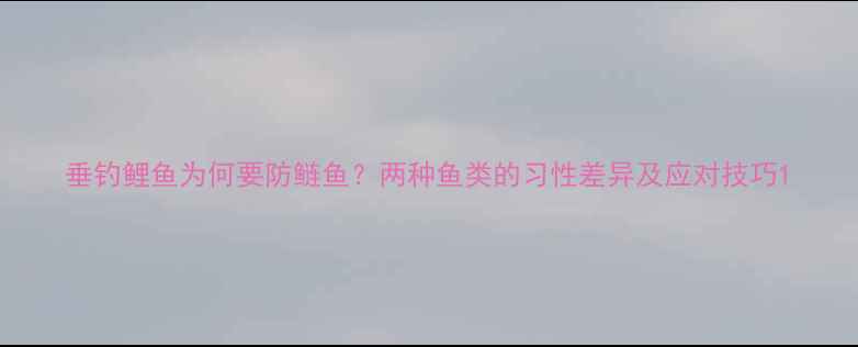 图片 垂钓鲤鱼为何要防鲢鱼？两种鱼类的习性差异及应对技巧1