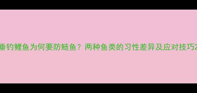 图片 垂钓鲤鱼为何要防鲢鱼？两种鱼类的习性差异及应对技巧2