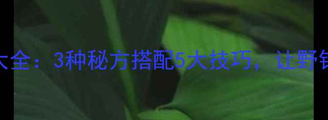 图片 垂钓鲤鱼药酒配方大全：3种秘方搭配5大技巧，让野钓鲤鱼上钩快3倍！2