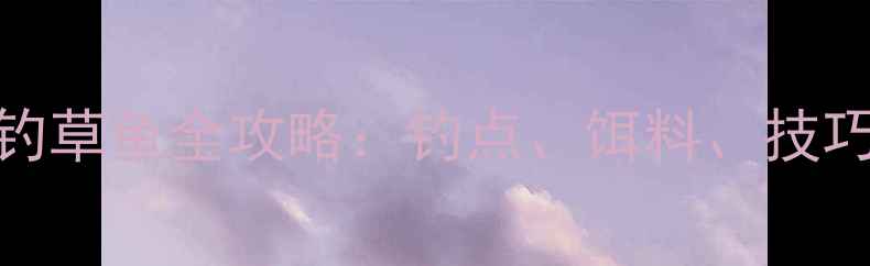 图片 夏天广东野钓草鱼全攻略：钓点、饵料、技巧及注意事项