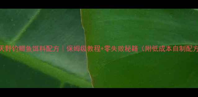 图片 夏天野钓鲫鱼饵料配方｜保姆级教程+零失败秘籍（附低成本自制配方）