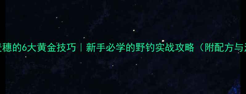 图片 夏季野钓麦穗的6大黄金技巧｜新手必学的野钓实战攻略（附配方与注意事项）
