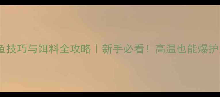 图片 夏季钓鱼技巧与饵料全攻略｜新手必看！高温也能爆护的秘诀1