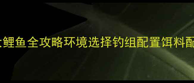 图片 夜间黑坑钓大鲤鱼全攻略环境选择钓组配置饵料配方实战技巧1