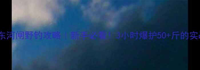 图片 大丰川东河闸野钓攻略｜新手必看！3小时爆护50+斤的实战技巧2