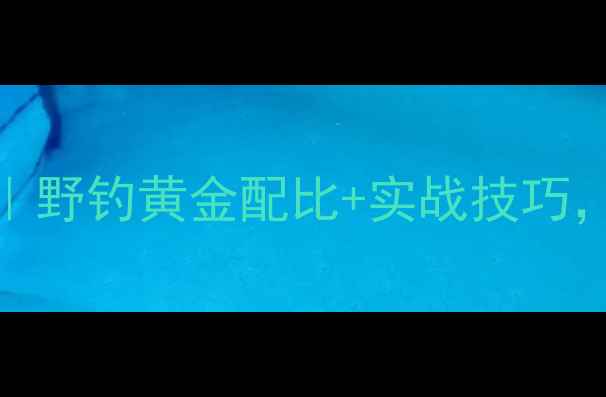 图片 天元浓香饵料配方｜野钓黄金配比+实战技巧，爆护秘籍大公开！