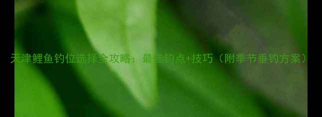 图片 天津鲤鱼钓位选择全攻略：最佳钓点+技巧（附季节垂钓方案）