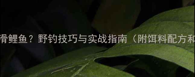图片 如何钓野生滑鲤鱼？野钓技巧与实战指南（附饵料配方和钓组配置）