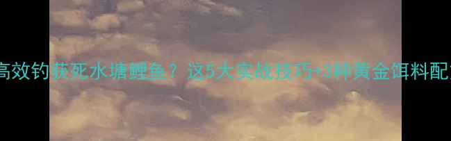 图片 如何高效钓获死水塘鲤鱼？这5大实战技巧+3种黄金饵料配方全1