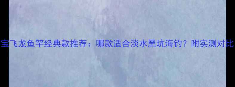 图片 宝飞龙鱼竿经典款推荐：哪款适合淡水黑坑海钓？附实测对比