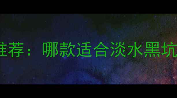 图片 宝飞龙鱼竿经典款推荐：哪款适合淡水黑坑海钓？附实测对比2