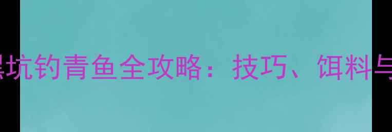 图片 实战指南晚上黑坑钓青鱼全攻略：技巧、饵料与实战经验分享1