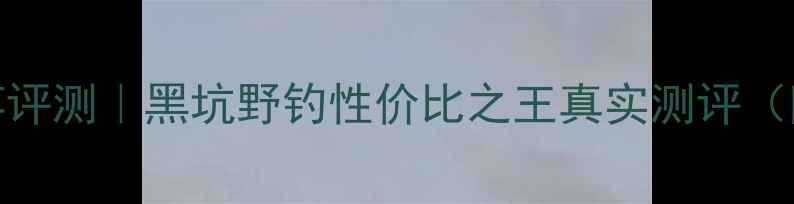 图片 富士画龙鱼竿评测｜黑坑野钓性价比之王真实测评（附避坑指南）