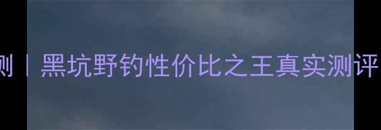 图片 富士画龙鱼竿评测｜黑坑野钓性价比之王真实测评（附避坑指南）1