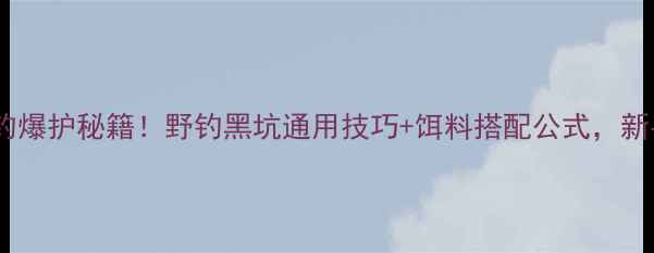 图片 小浪花鱼饵垂钓爆护秘籍！野钓黑坑通用技巧+饵料搭配公式，新手老手必看！1