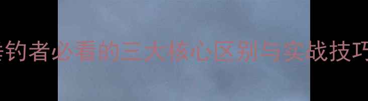 图片 工程鲫鱼vs板鲫鱼：垂钓者必看的三大核心区别与实战技巧（附选竿调漂指南）1