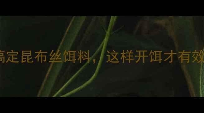 图片 广东沿海钓友必看！3步搞定昆布丝饵料，这样开饵才有效，附赠5种鱼情开饵配方2