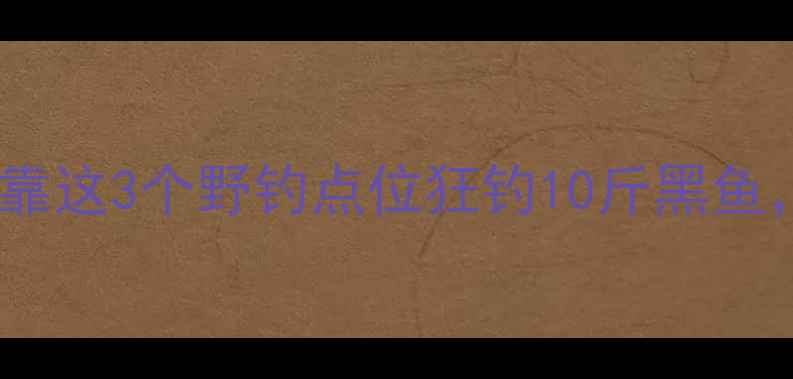 图片 开篇暴击上海钓鱼人必看！我靠这3个野钓点位狂钓10斤黑鱼，新手3小时爆护秘诀大公开🎣