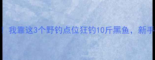 图片 开篇暴击上海钓鱼人必看！我靠这3个野钓点位狂钓10斤黑鱼，新手3小时爆护秘诀大公开🎣1