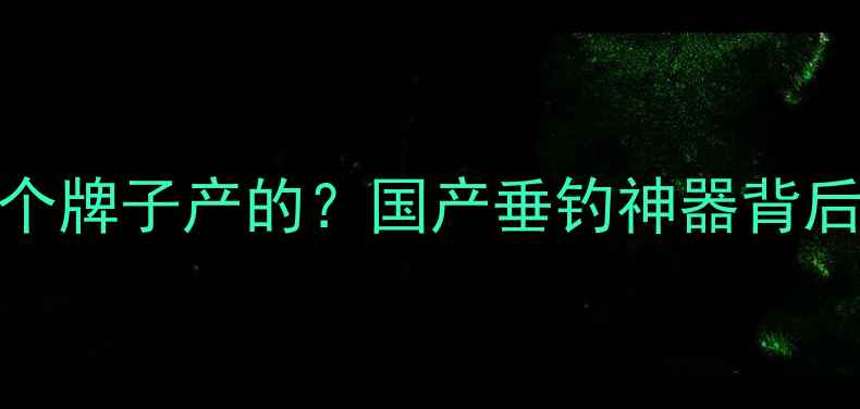 图片 战将鱼竿是哪个牌子产的？国产垂钓神器背后的秘密！🎣🔥