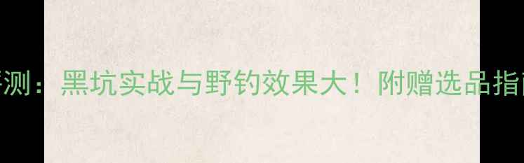 图片 打天下鱼饵评测：黑坑实战与野钓效果大！附赠选品指南与避坑技巧