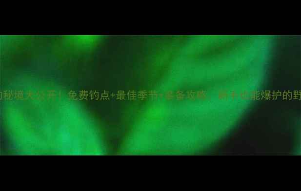 图片 斗门野钓秘境大公开！免费钓点+最佳季节+装备攻略，新手也能爆护的野钓指南1